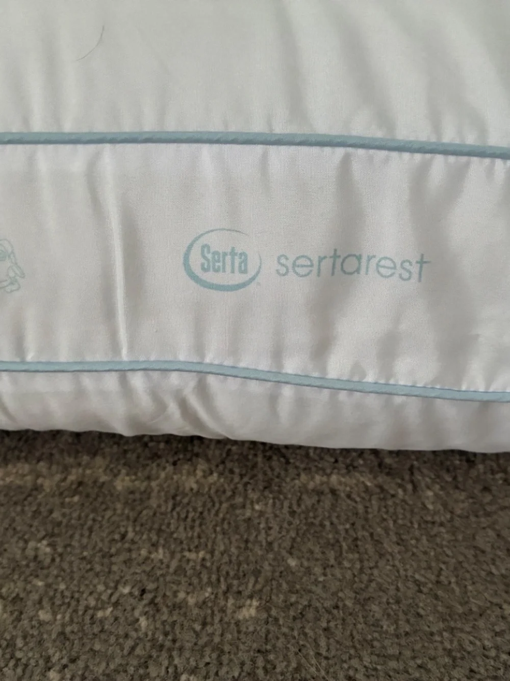 Pottery Barn Pickstitch King Pillow Shams Cotton Linen